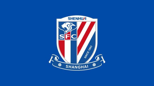 大发配资 沪媒：路易斯、米内罗已开始恢复性训练，戴伟浚参加合练